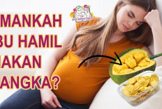 Manfaat Nangka untuk Ibu Hamil, Dapat Mencegah dan Mengatasi Sembelit