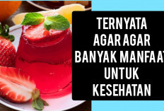 Ternyata Dapat Menjaga Kesehatan dan Kecantikan Kulit, Inilah Dia Manfaat Agar-agar untuk Kesehatan Tubuh