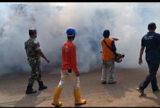 Antisipasi DBD, Babinsa dan Pemdes Ketanggan Optimalkan Fogging Hingga Bersihkan Lingkungan