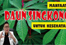 Manfaat Kesehatan dari Satu Lembar Daun Singkong, Apa Saja?