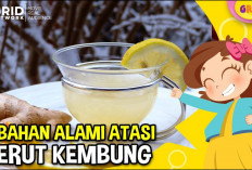 7 Obat Alami Perut Kembung yang Aman dan Efektif, Bisa Dikonsumsi Kapan Saja