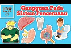 Gejala Gangguan Sistem Pencernaan yang Wajib Diketahui