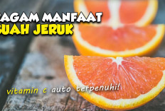 Manfaat Jeruk untuk Kesehatan Anak