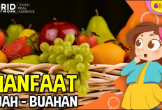 Manfaat Konsumsi Buah-buahan Setiap Hari untuk Kesehatan Tubuh