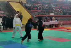 Refleksi HUT Kemerdekaan RI, 510 Pesilat di Jateng Ramaikan Kejuaraan Pencak Silat Kiai Guru Cup