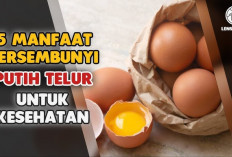 Yuk Simak Manfaat Putih Telur untuk Anak