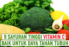 5 Sayuran yang Mengandung Vitamin C, Sehat dan Lezat 