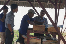 Cacing Tanah Hasil Budidaya WBP Rutan Laku di Pasaran