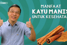 Inilah Manfaat Kayu Manis untuk Kesehatan Tubuh, Apa Saja Itu?