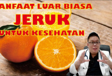 Berikut Manfaat Buah Jeruk Untuk Beberapa Penyakit Kronis dan Pencegahannya, Ingin Tahu?