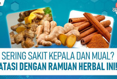 Inilah Obat Sakit Kepala Alami Dari Tanaman Herbal dan Manfaatnya yang Wajib Kamu Tahu