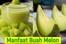 Ini Dia Manfaat Buah Melon yang Harus Kamu Tahu bagi Kesehatan Tubuh, Apa Saja?