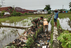 Sampah Menumpuk di Penuhi Sampah 