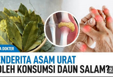 Manfaat Daun Salam untuk Sendi, Ternyata Ampuh untuk Mangatasi Asam Urat yang Terlalu Tinggi pada Lansia