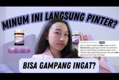 Inilah 7 Vitamin yang Dapat Meningkatkan Daya Ingat, Jangan Salah, Vitamin C Termasuk