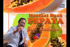 Manfaat Buah Pepaya yang Bisa Cegah Penyakit dan Jaga Kesehatanmu, Mau Tahu Apa Saja?