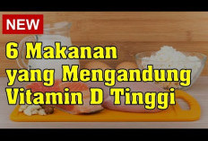 Makanan yang Mengandung Vitamin D untuk Menu Sehari-hari