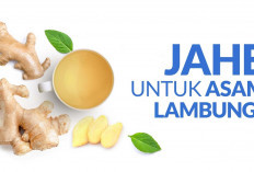 Manfaat Jahe untuk Asam Lambung yang Ternyata Dapat Mengurangi Asam Lambung