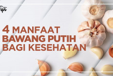 Ini Dia Manfaat Bawang Putih untuk Kesehatan dan Cara Menggunakannya