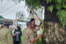 Bawaslu Kabupaten Pekalongan Tertibkan Ribuan APK yang Melanggar