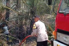 Kebun Sagu di Desa Blimbingwuluh Terbakar