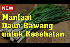 Inilah Manfaat Daun Bawang yang Belum Banyak Diketahui Orang