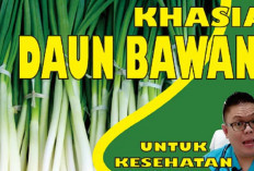 Inilah Sederet Manfaat Daun Bawang untuk Kesehatan, Mulai dari Mencegah Sembelit sampai Mencegah Kanker