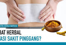 Inilah Obat Herbal untuk Sakit Pinggang yang Mampu Membantu Meredakan Gejalanya