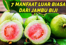 8 Manfaat Jambu Biji untuk Mata, Bisa Mencegah Gangguan Penglihatan Mata