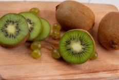 15 Manfaat Buah Kiwi untuk Tubuh yang Cukup Beragam dan Kamu Bisa Mengonsumsinya Secara Rutin