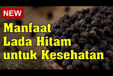 Manfaat Lada Hitam untuk Kesehatan, Dapat Memperkuat Tulang dan Persendian