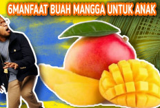 Manfaat Mangga untuk Anak yang Jangan Sampai Kamu Lewatkan