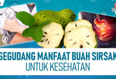 Inilah 8 Khasiat dan Manfaat Buah Sirsak untuk Kesehatan Tubuh, Apa Saja?