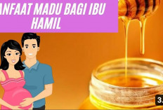 Sederet Madu untuk Ibu Hamil Terbaik yang Bermanfaat untuk Kesehatan