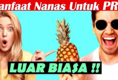 Berbagai Manfaat Nanas untuk Pria, Simak Disini