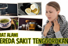 Obat Alami untuk Sakit Tenggorokan dan Terasa Ada yang Mengganjal di Tenggorokan.