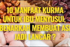 Inilah Manfaat Kurma untuk Ibu Menyusui Saat Berpuasa