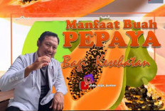 Khasiat Biji Buah Pepaya bagi Tubuh dan Cara Mengonsumsinya agar Enak Dimakan