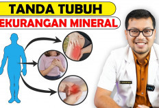 Ini Dia Jenis Mineral dan Fungsinya Bagi Tubuh