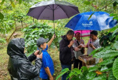 Desa Mendolo Sentra Budidaya Madu Klanceng