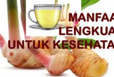 Ternyata Ini Dia Manfaat Lengkuas untuk Kesehatan