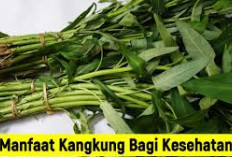 Dapat Menjaga Kesehatan Mata, Inilah Manfaat Kangkung untuk Kesehatan