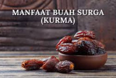 Mendukung Fungsi dan Perkembangan Otak, Inilah Manfaat Kurma untuk Anak