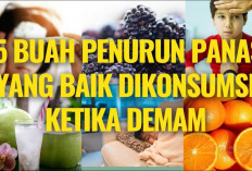 Ini Dia Buah Penurun Panas Berguna untuk Menurunkan Demam Tinggi