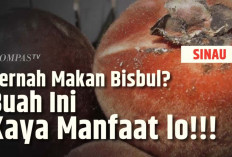 Inilah Manfaat Buah Mentega untuk Kesehatan Tubuh yang Jarang Diketahui Orang