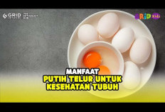 Inilah Manfaat Kesehatan Dari Putih Telur, yang Sayangnya Diabaikan