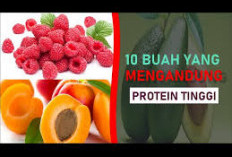 Buah dengan Kandungan Protein Tinggi yang Menyehatkan untuk Disantap Setiap Hari