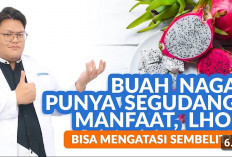 Murah Meriah, Inilah Khasiat Sari Buah Naga yang Bagus Buat Kesehatan Kulit