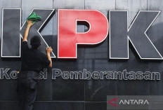 KPK Nyatakan 1.325 LHKPN Bacalon Kepala Daerah Lengkap