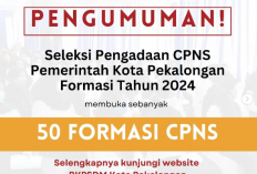 Pemkot Pekalongan Buka 50 Formasi Seleksi CPNS